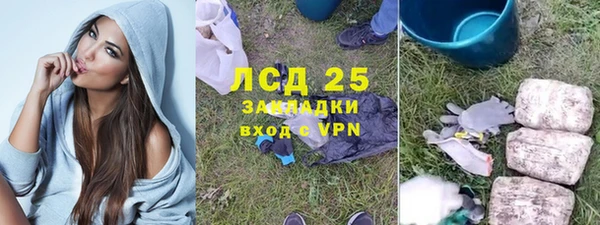 бошки Ельня