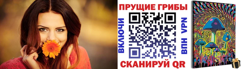 ОМГ ОМГ зеркало  продажа наркотиков  Уржум  Псилоцибиновые грибы Cubensis 